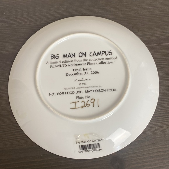 Peanuts Magical Moments Danbury Mint Big Man On Campus Plate 8" Retired 2006 - Picture 3 of 7